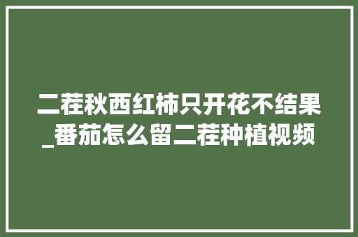 二茬秋西红柿只开花不结果_番茄怎么留二茬种植视频