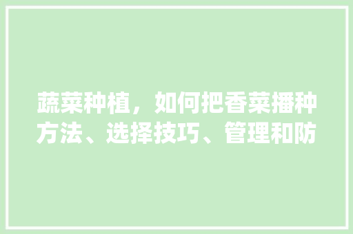 蔬菜种植，如何把香菜播种方法、选择技巧、管理和防治病虫做好呢_蔬菜种植小妙招