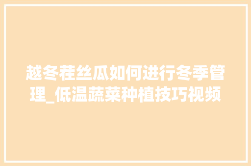 越冬茬丝瓜如何进行冬季管理_低温蔬菜种植技巧视频教程