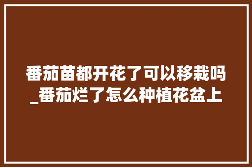 番茄苗都开花了可以移栽吗_番茄烂了怎么种植花盆上的 番茄苗都开花了可以移栽吗_番茄烂了怎么种植花盆上的 番茄病虫害防治