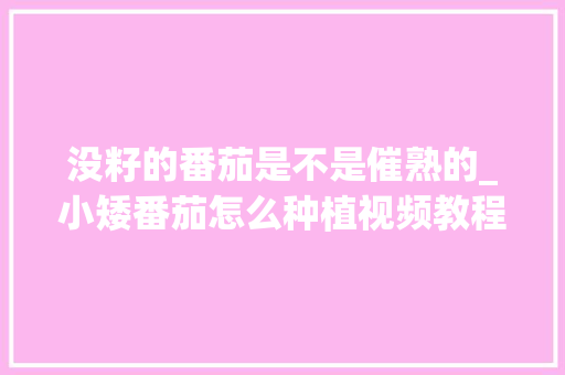 没籽的番茄是不是催熟的_小矮番茄怎么种植视频教程 没籽的番茄是不是催熟的_小矮番茄怎么种植视频教程 土壤施肥