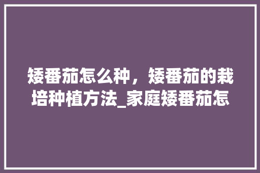 矮番茄怎么种，矮番茄的栽培种植方法_家庭矮番茄怎么种植视频 矮番茄怎么种，矮番茄的栽培种植方法_家庭矮番茄怎么种植视频 土壤施肥