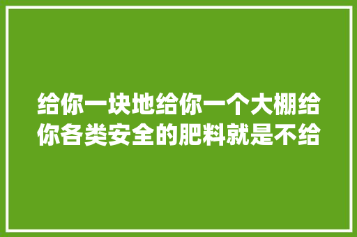 给你一块地给你一个大棚给你各类安全的肥料就是不给农药你怎做_大棚蔬菜种植拍摄技巧和方法 给你一块地给你一个大棚给你各类安全的肥料就是不给农药你怎做_大棚蔬菜种植拍摄技巧和方法 种植技巧