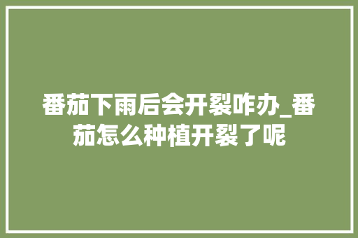 番茄下雨后会开裂咋办_番茄怎么种植开裂了呢 番茄下雨后会开裂咋办_番茄怎么种植开裂了呢 农业常识