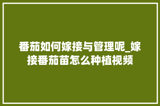 番茄如何嫁接与管理呢_嫁接番茄苗怎么种植视频 番茄如何嫁接与管理呢_嫁接番茄苗怎么种植视频 番茄病虫害防治