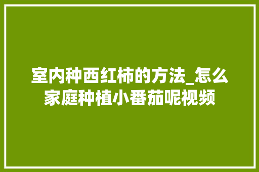 室内种西红柿的方法_怎么家庭种植小番茄呢视频 室内种西红柿的方法_怎么家庭种植小番茄呢视频 番茄病虫害防治