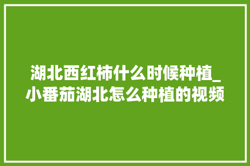 湖北西红柿什么时候种植_小番茄湖北怎么种植的视频