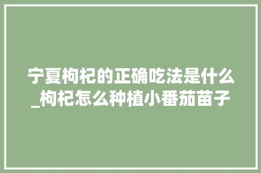 宁夏枸杞的正确吃法是什么_枸杞怎么种植小番茄苗子视频