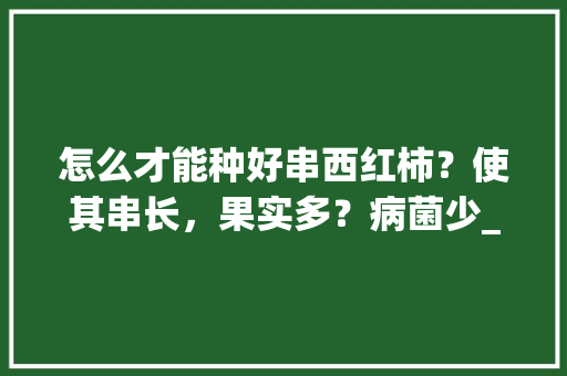 怎么才能种好串西红柿？使其串长，果实多？病菌少_番茄怎么种植长的多一点 怎么才能种好串西红柿？使其串长，果实多？病菌少_番茄怎么种植长的多一点 番茄病虫害防治