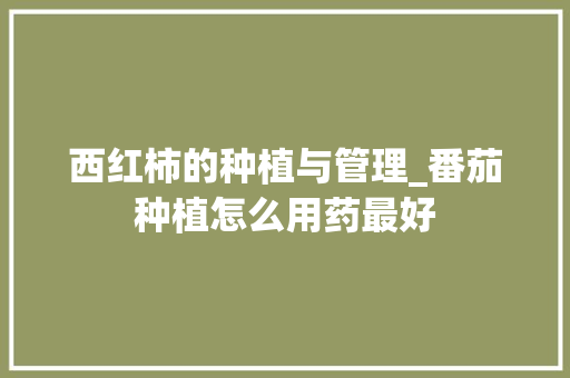 西红柿的种植与管理_番茄种植怎么用药最好