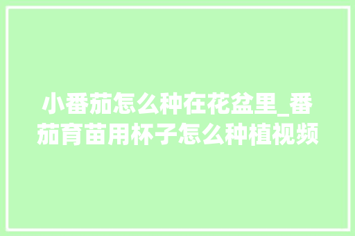 小番茄怎么种在花盆里_番茄育苗用杯子怎么种植视频 小番茄怎么种在花盆里_番茄育苗用杯子怎么种植视频 土壤施肥