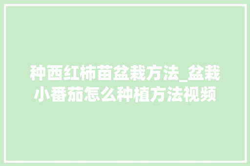 种西红柿苗盆栽方法_盆栽小番茄怎么种植方法视频 种西红柿苗盆栽方法_盆栽小番茄怎么种植方法视频 土壤施肥