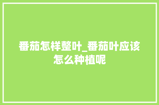 番茄怎样整叶_番茄叶应该怎么种植呢 番茄怎样整叶_番茄叶应该怎么种植呢 植物种类