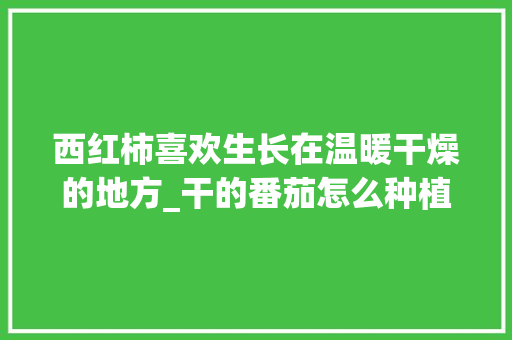 西红柿喜欢生长在温暖干燥的地方_干的番茄怎么种植视频 西红柿喜欢生长在温暖干燥的地方_干的番茄怎么种植视频 农业常识
