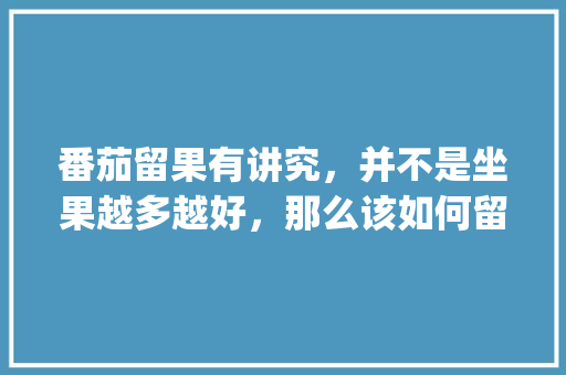 番茄留果有讲究，并不是坐果越多越好，那么该如何留果呢_小番茄种植怎么留枝条视频 番茄留果有讲究，并不是坐果越多越好，那么该如何留果呢_小番茄种植怎么留枝条视频 花朵知识