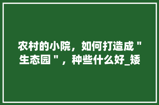 农村的小院，如何打造成＂生态园＂，种些什么好_矮株番茄怎么种植攻略视频 农村的小院，如何打造成＂生态园＂，种些什么好_矮株番茄怎么种植攻略视频 植物种类