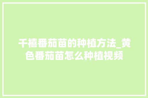 千禧番茄苗的种植方法_黄色番茄苗怎么种植视频 番茄种植技巧 千禧番茄苗的种植方法_黄色番茄苗怎么种植视频 千禧番茄苗的种植方法_黄色番茄苗怎么种植视频 番茄种植技巧