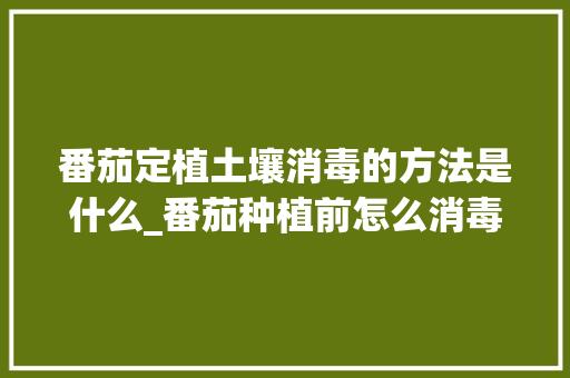 番茄定植土壤消毒的方法是什么_番茄种植前怎么消毒的