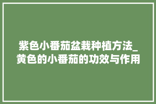 紫色小番茄盆栽种植方法_黄色的小番茄的功效与作用 紫色小番茄盆栽种植方法_黄色的小番茄的功效与作用 土壤施肥
