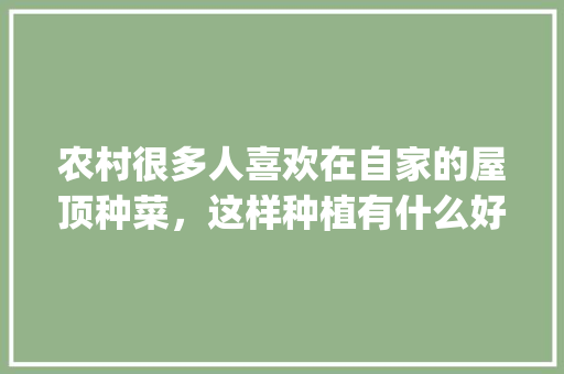 农村很多人喜欢在自家的屋顶种菜，这样种植有什么好处呢_房顶菜园设计效果图 农村很多人喜欢在自家的屋顶种菜，这样种植有什么好处呢_房顶菜园设计效果图 农业常识