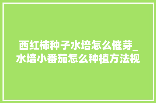 西红柿种子水培怎么催芽_水培小番茄怎么种植方法视频 西红柿种子水培怎么催芽_水培小番茄怎么种植方法视频 番茄病虫害防治