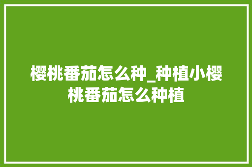 樱桃番茄怎么种_种植小樱桃番茄怎么种植 番茄病虫害防治 樱桃番茄怎么种_种植小樱桃番茄怎么种植 樱桃番茄怎么种_种植小樱桃番茄怎么种植 番茄病虫害防治