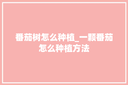 番茄树怎么种植_一颗番茄怎么种植方法 番茄树怎么种植_一颗番茄怎么种植方法 番茄种植技巧