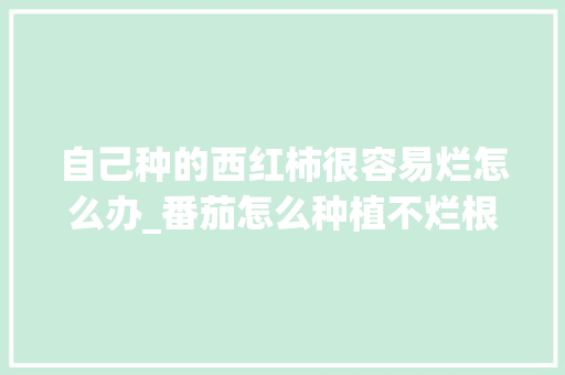 自己种的西红柿很容易烂怎么办_番茄怎么种植不烂根 自己种的西红柿很容易烂怎么办_番茄怎么种植不烂根 植物种类