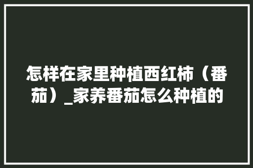 怎样在家里种植西红柿（番茄）_家养番茄怎么种植的视频 怎样在家里种植西红柿（番茄）_家养番茄怎么种植的视频 土壤施肥