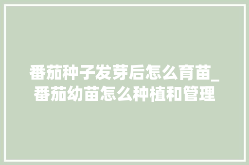番茄种子发芽后怎么育苗_番茄幼苗怎么种植和管理 番茄种植技巧 番茄种子发芽后怎么育苗_番茄幼苗怎么种植和管理 番茄种子发芽后怎么育苗_番茄幼苗怎么种植和管理 番茄种植技巧
