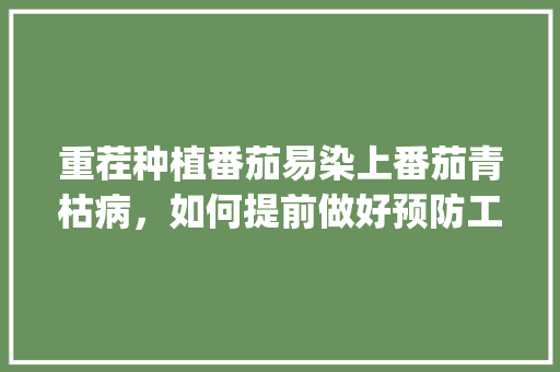 重茬种植番茄易染上番茄青枯病，如何提前做好预防工作_种植番茄重茬怎么解决问题
