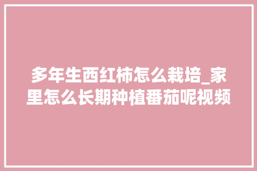 多年生西红柿怎么栽培_家里怎么长期种植番茄呢视频 多年生西红柿怎么栽培_家里怎么长期种植番茄呢视频 土壤施肥