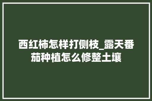 西红柿怎样打侧枝_露天番茄种植怎么修整土壤