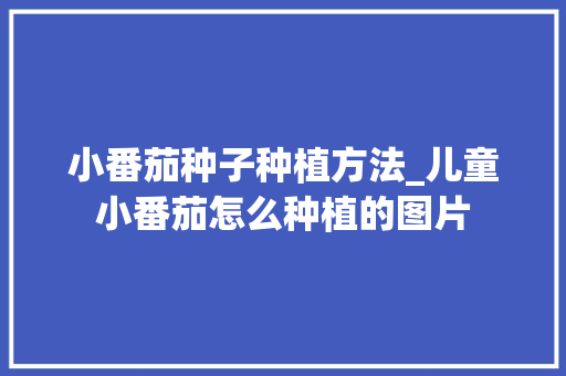 小番茄种子种植方法_儿童小番茄怎么种植的图片 小番茄种子种植方法_儿童小番茄怎么种植的图片 种植技巧