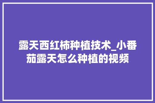 露天西红柿种植技术_小番茄露天怎么种植的视频 露天西红柿种植技术_小番茄露天怎么种植的视频 种植技巧
