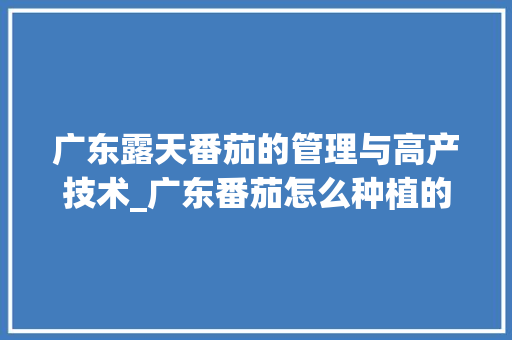 广东露天番茄的管理与高产技术_广东番茄怎么种植的多一点 广东露天番茄的管理与高产技术_广东番茄怎么种植的多一点 番茄种植技巧