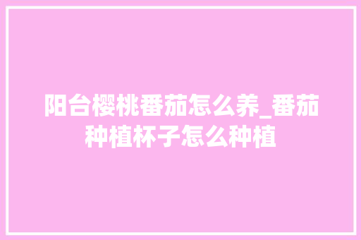 阳台樱桃番茄怎么养_番茄种植杯子怎么种植