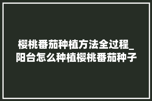 樱桃番茄种植方法全过程_阳台怎么种植樱桃番茄种子 樱桃番茄种植方法全过程_阳台怎么种植樱桃番茄种子 种植技巧
