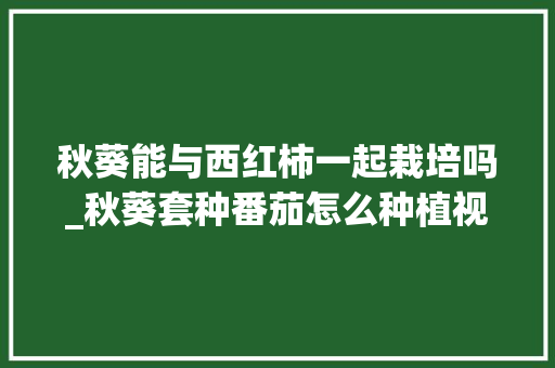 秋葵能与西红柿一起栽培吗_秋葵套种番茄怎么种植视频