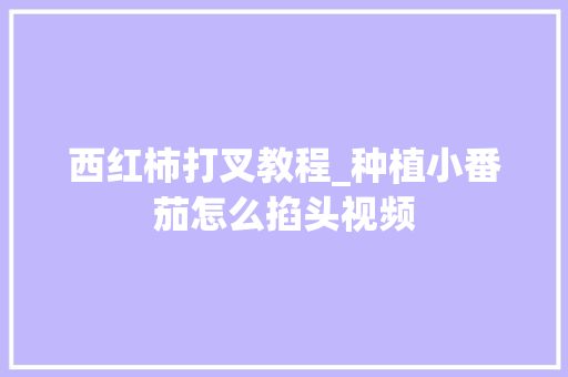 西红柿打叉教程_种植小番茄怎么掐头视频 西红柿打叉教程_种植小番茄怎么掐头视频 番茄种植技巧