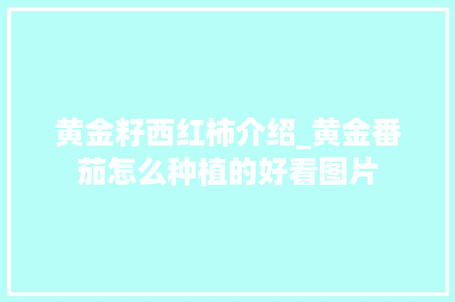 黄金籽西红柿介绍_黄金番茄怎么种植的好看图片