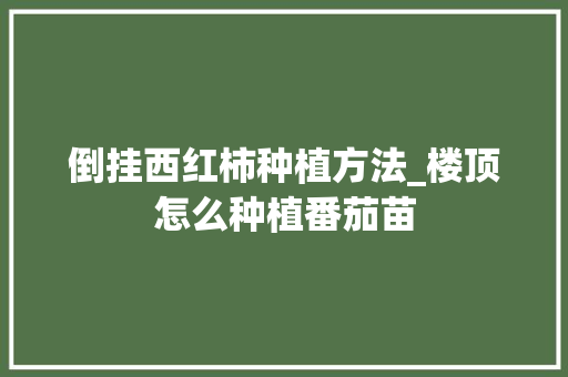 倒挂西红柿种植方法_楼顶怎么种植番茄苗 倒挂西红柿种植方法_楼顶怎么种植番茄苗 种植技巧