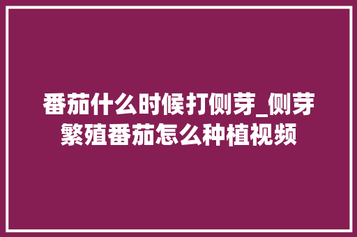 番茄什么时候打侧芽_侧芽繁殖番茄怎么种植视频 番茄什么时候打侧芽_侧芽繁殖番茄怎么种植视频 种植技巧