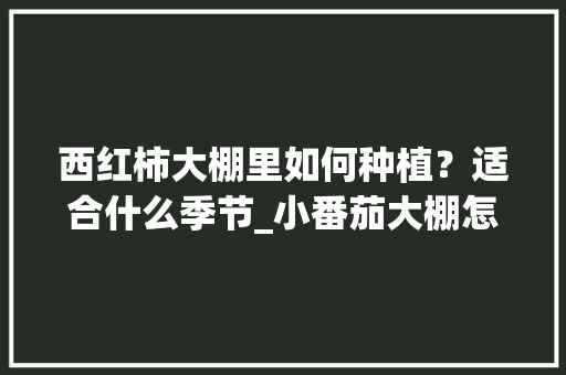 西红柿大棚里如何种植？适合什么季节_小番茄大棚怎么种植视频 西红柿大棚里如何种植？适合什么季节_小番茄大棚怎么种植视频 番茄种植技巧