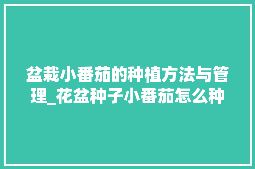 盆栽小番茄的种植方法与管理_花盆种子小番茄怎么种植视频 土壤施肥 盆栽小番茄的种植方法与管理_花盆种子小番茄怎么种植视频 盆栽小番茄的种植方法与管理_花盆种子小番茄怎么种植视频 土壤施肥