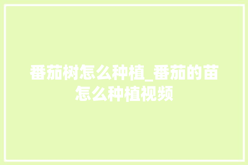 番茄树怎么种植_番茄的苗怎么种植视频 番茄树怎么种植_番茄的苗怎么种植视频 植物种类