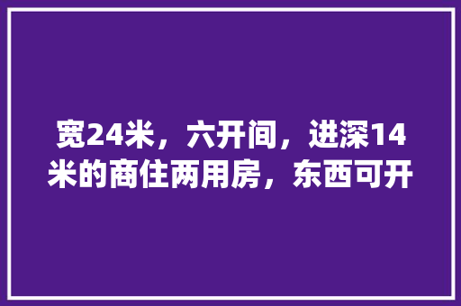宽24米，六开间，进深14米的商住两用房，东西可开窗如何设计_番茄种植简易图纸怎么画的