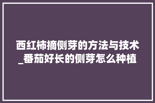 西红柿摘侧芽的方法与技术_番茄好长的侧芽怎么种植视频