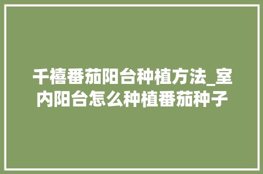 千禧番茄阳台种植方法_室内阳台怎么种植番茄种子 千禧番茄阳台种植方法_室内阳台怎么种植番茄种子 植物种类