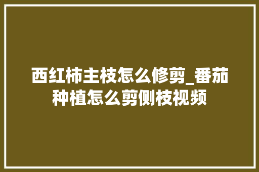 西红柿主枝怎么修剪_番茄种植怎么剪侧枝视频 西红柿主枝怎么修剪_番茄种植怎么剪侧枝视频 番茄病虫害防治
